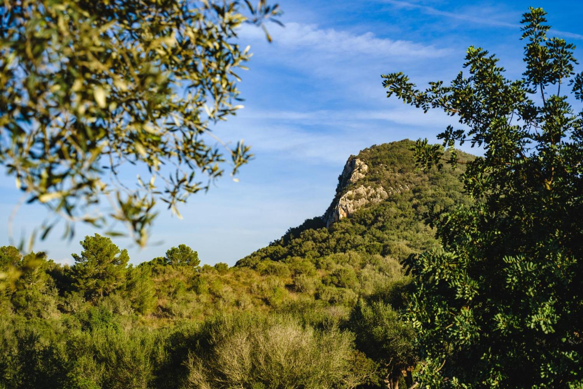Finca Sa Bastida Luxury Retreat & Spa Adults Only Sant Joan Exterior photo
