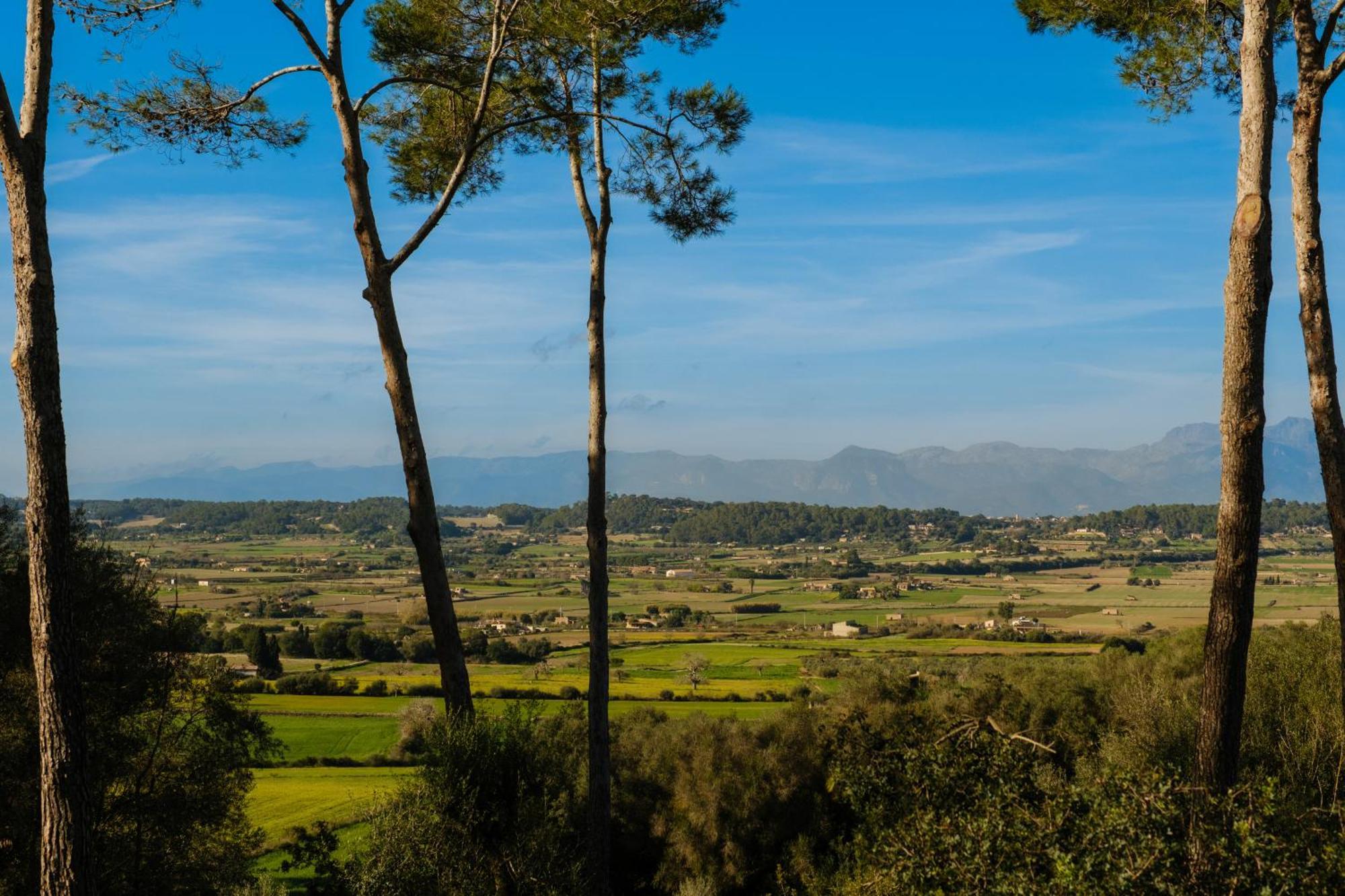 Finca Sa Bastida Luxury Retreat & Spa Adults Only Sant Joan Exterior photo